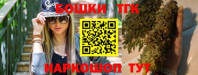 стафф Дубна