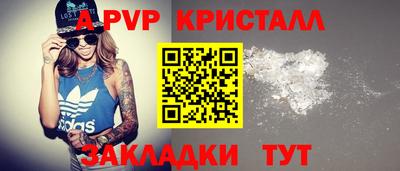 стафф Дубна