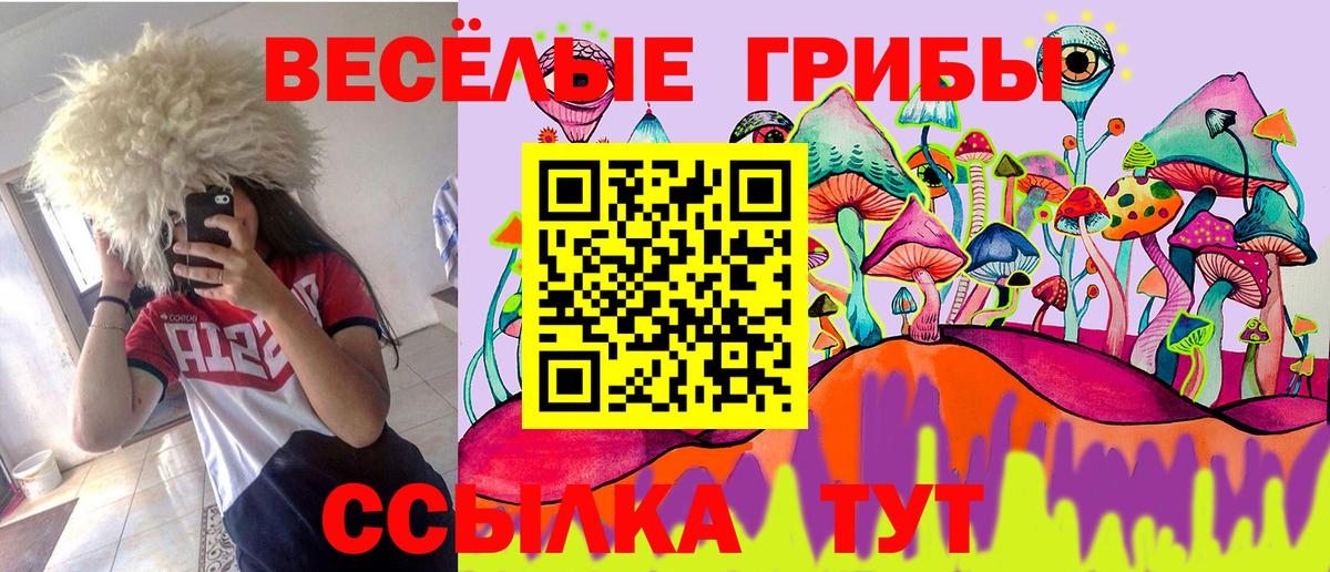 Псилоцибиновые грибы MAGIC MUSHROOMS Балашов